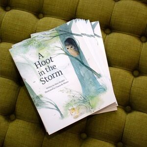 A Hoot in the Storm Children’s Book